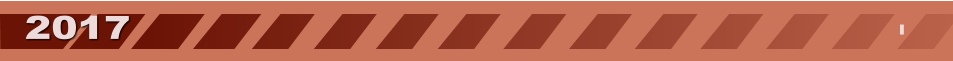 2017 I